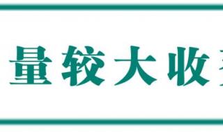 23年清明节为什么不调休 清明假期2023年